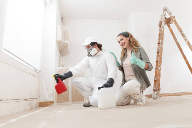 Best Water Damage & Mold Remediation  in Mora, MN